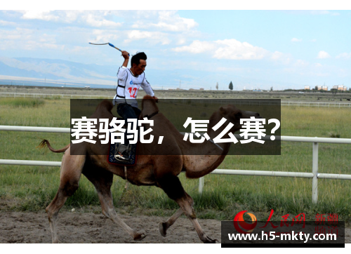 赛骆驼，怎么赛？