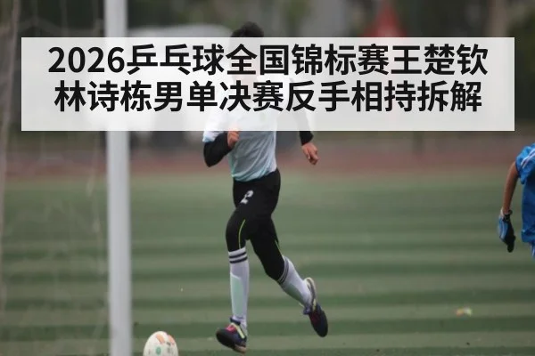 2026乒乓球全国锦标赛王楚钦林诗栋男单决赛反手相持拆解（C7C7）